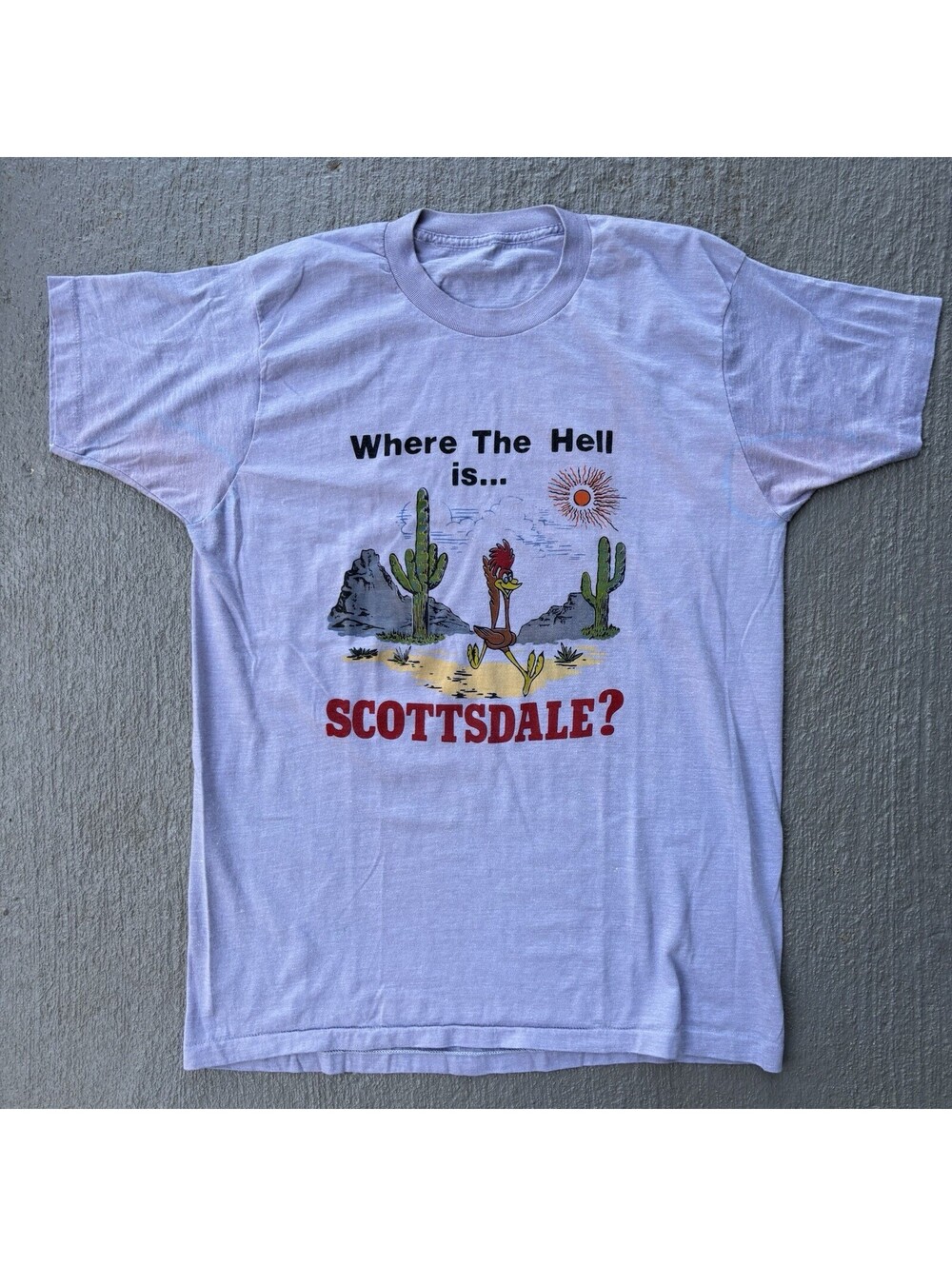 True Vintage Where The Hell Is Scottsdale? Arizona Road Runner Desert Large